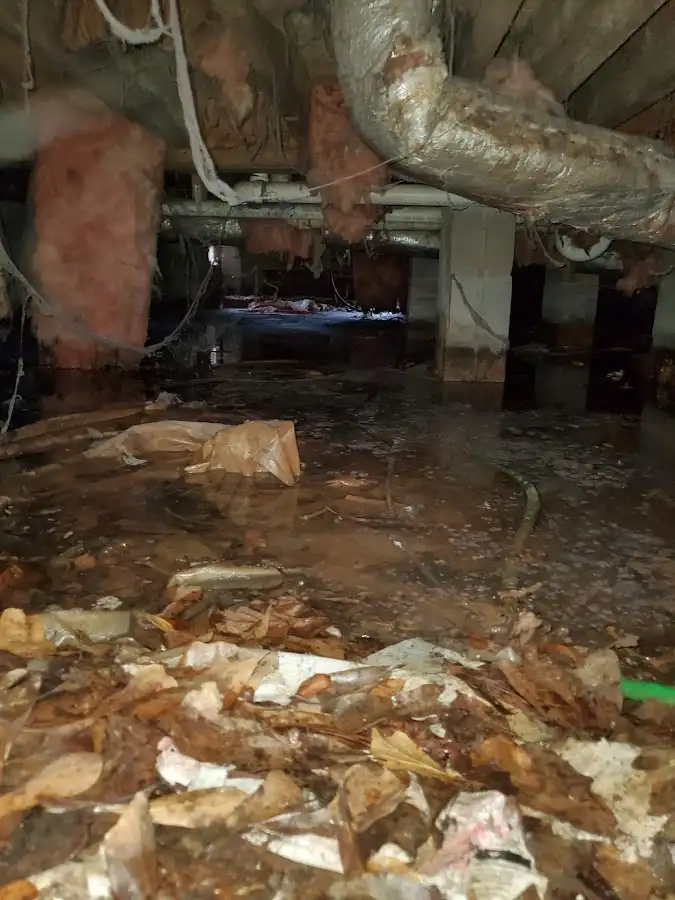Crawl space flood assessment for Leak Detection & Repair in Parole