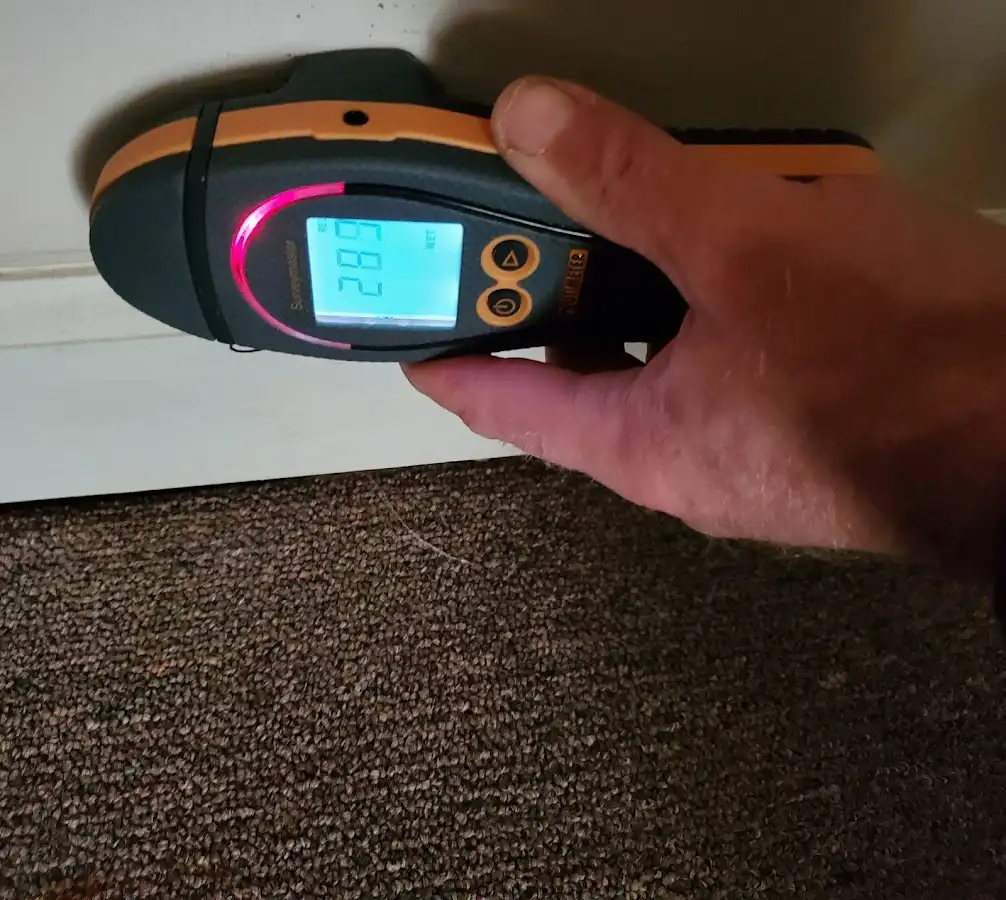Moisture detection at baseboard during Sewage Cleanup & Sanitation in Parole